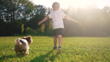 De leukste parken in Rijswijk, Den Haag en Delft – Up Kinderopvang – KDV en BSO