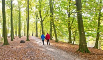 De leukste parken in Rijswijk, Den Haag en Delft