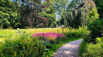 De leukste parken in Rijswijk, Den Haag en Delft